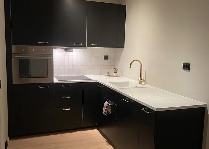 Central Apartment شقة